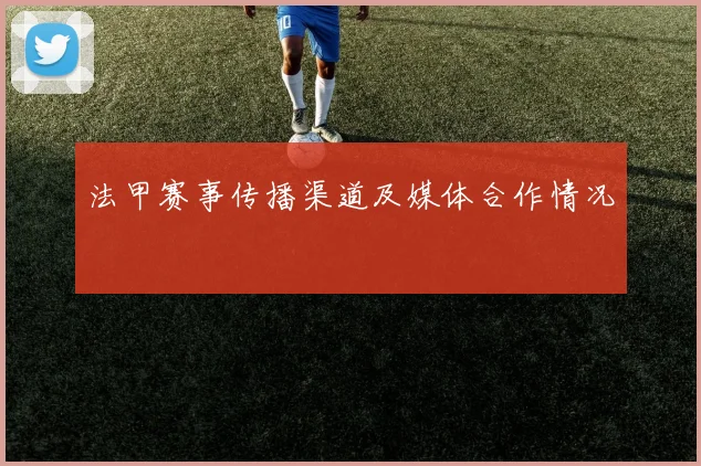 法甲赛事传播渠道及媒体合作情况