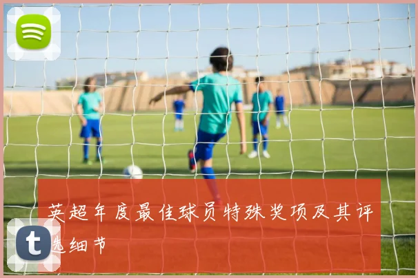 英超年度最佳球员特殊奖项及其评选细节
