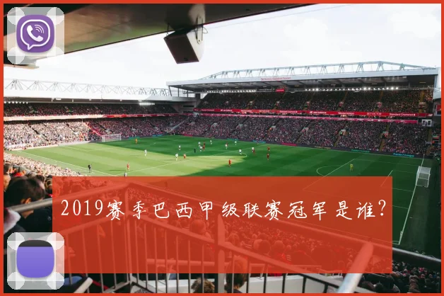 2019赛季巴西甲级联赛冠军是谁？
